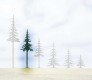 71934 Auhagen Evergreen tall - 14 cm
